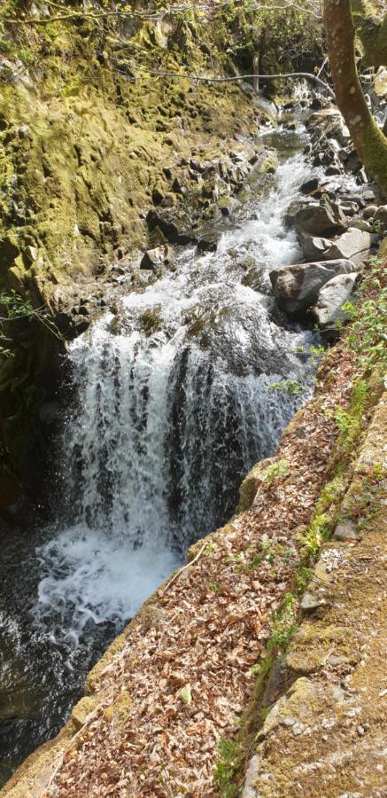 Meirionfa Great Base For Snowdon Villa Llanberis Bagian luar foto